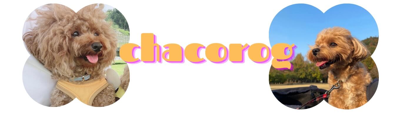 chacorogのロゴ画像